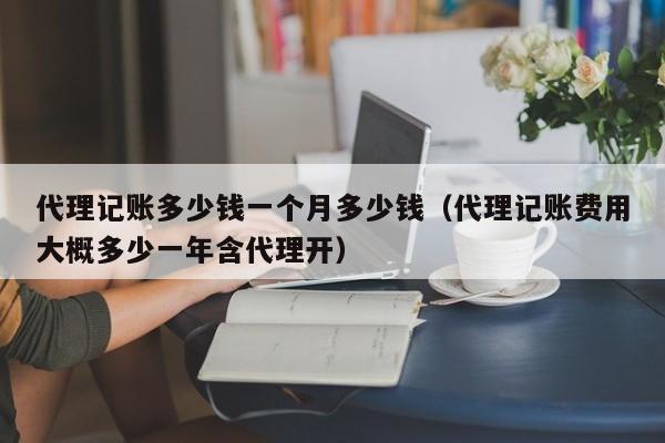 代理记账多少钱一个月多少钱（代理记账费用大概多少一年含代理开）
