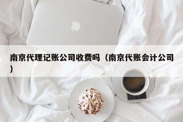 南京代理记账公司收费吗（南京代账会计公司）