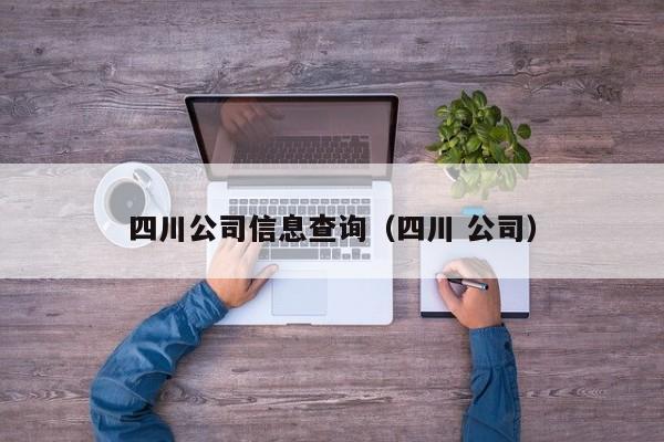 四川公司信息查询（四川 公司）
