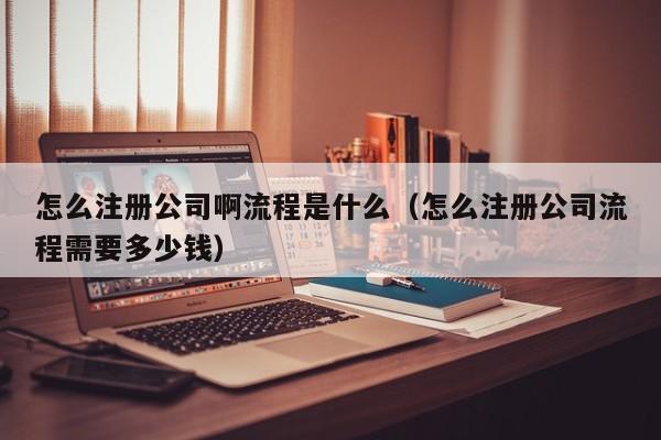 怎么注册公司啊流程是什么（怎么注册公司流程需要多少钱）