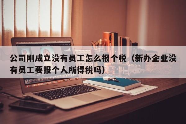 公司刚成立没有员工怎么报个税（新办企业没有员工要报个人所得税吗）