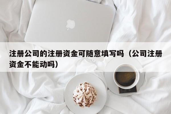 注册公司的注册资金可随意填写吗(公司注册资金不能动吗)