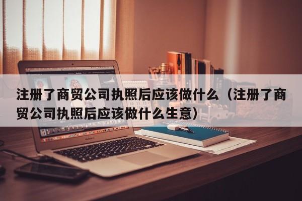 注册了商贸公司执照后应该做什么（注册了商贸公司执照后应该做什么生意）