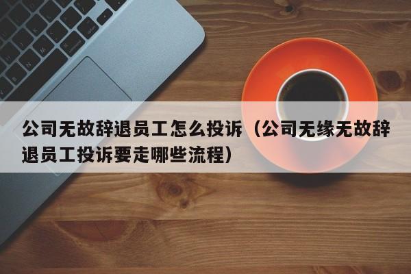 公司无故辞退员工怎么投诉（公司无缘无故辞退员工投诉要走哪些流程）