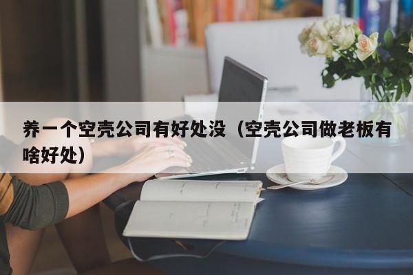 养一个空壳公司有好处没(空壳公司做老板有啥好处)
