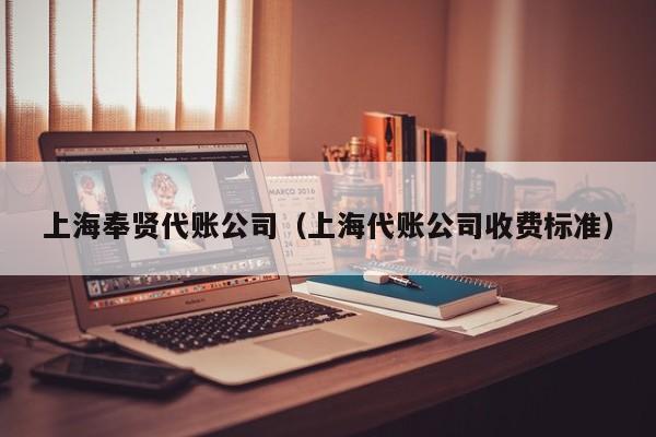 上海奉贤代账公司（上海代账公司收费标准）