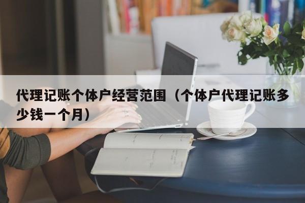 代理记账个体户经营范围(个体户代理记账多少钱一个月)