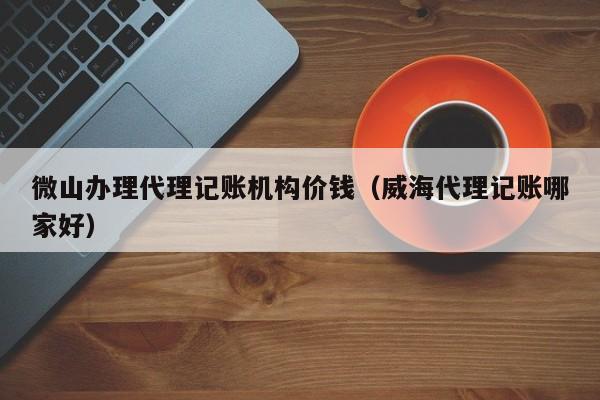 微山办理代理记账机构价钱（威海代理记账哪家好）