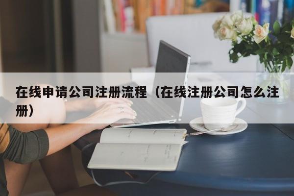 在线申请公司注册流程（在线注册公司怎么注册）