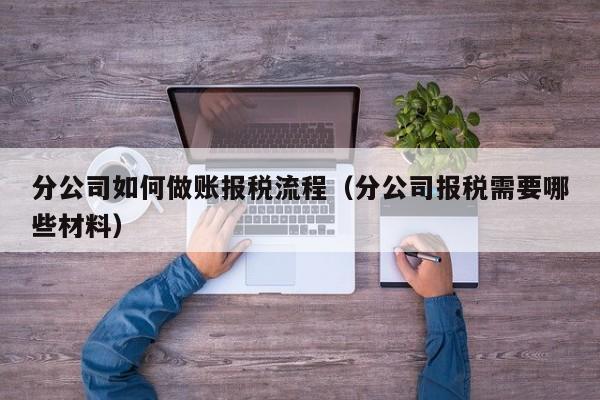 分公司如何做账报税流程（分公司报税需要哪些材料）