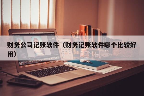 财务公司记账软件（财务记账软件哪个比较好用）