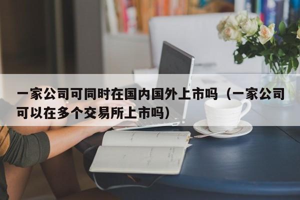 一家公司可同时在国内国外上市吗（一家公司可以在多个交易所上市吗）