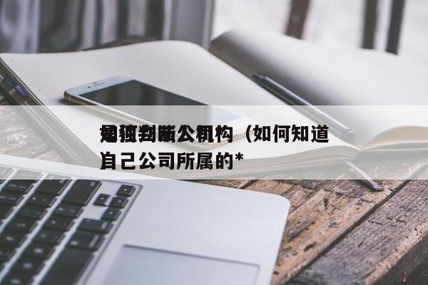 如何判断公司*是独立法人机构（如何知道自己公司所属的*）