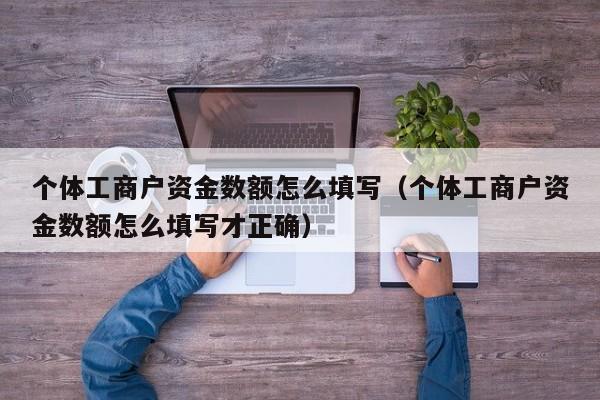 个体工商户资金数额怎么填写（个体工商户资金数额怎么填写才正确）