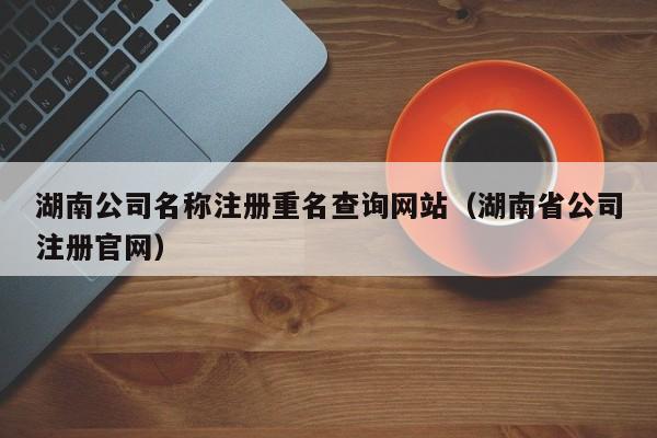 湖南公司名称注册重名查询网站（湖南省公司注册官网）