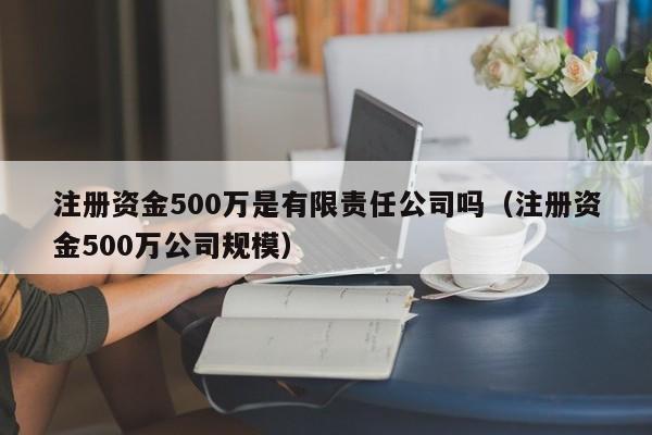 注册资金500万是有限责任公司吗（注册资金500万公司规模）