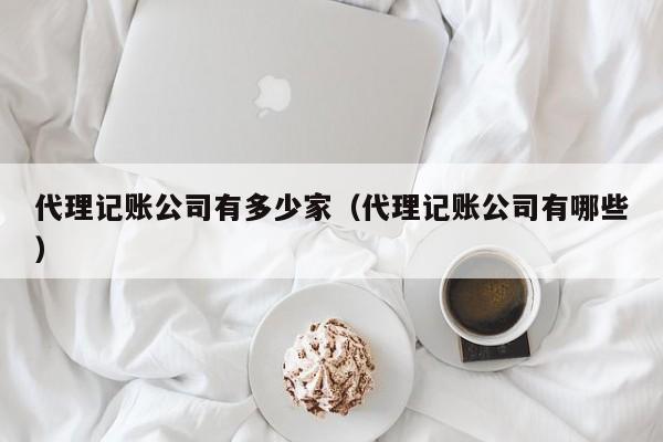 代理记账公司有多少家（代理记账公司有哪些）